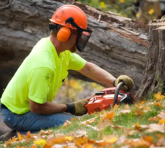 tree services Botkins